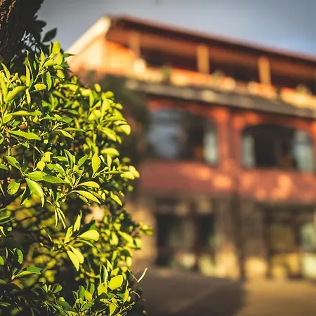 Ristorante Paradiso Hotel 3*